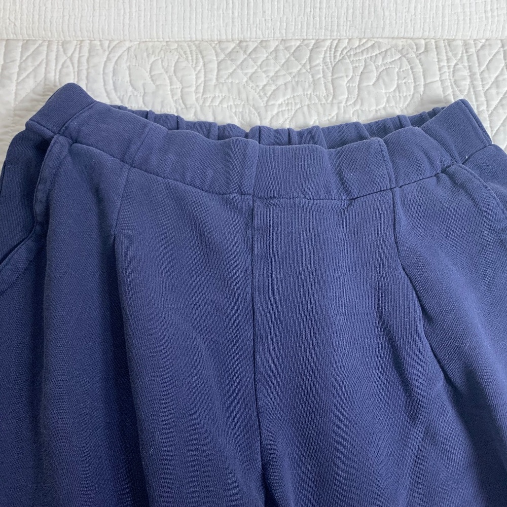 Aerie Navy Blue Women's Pants SHORT